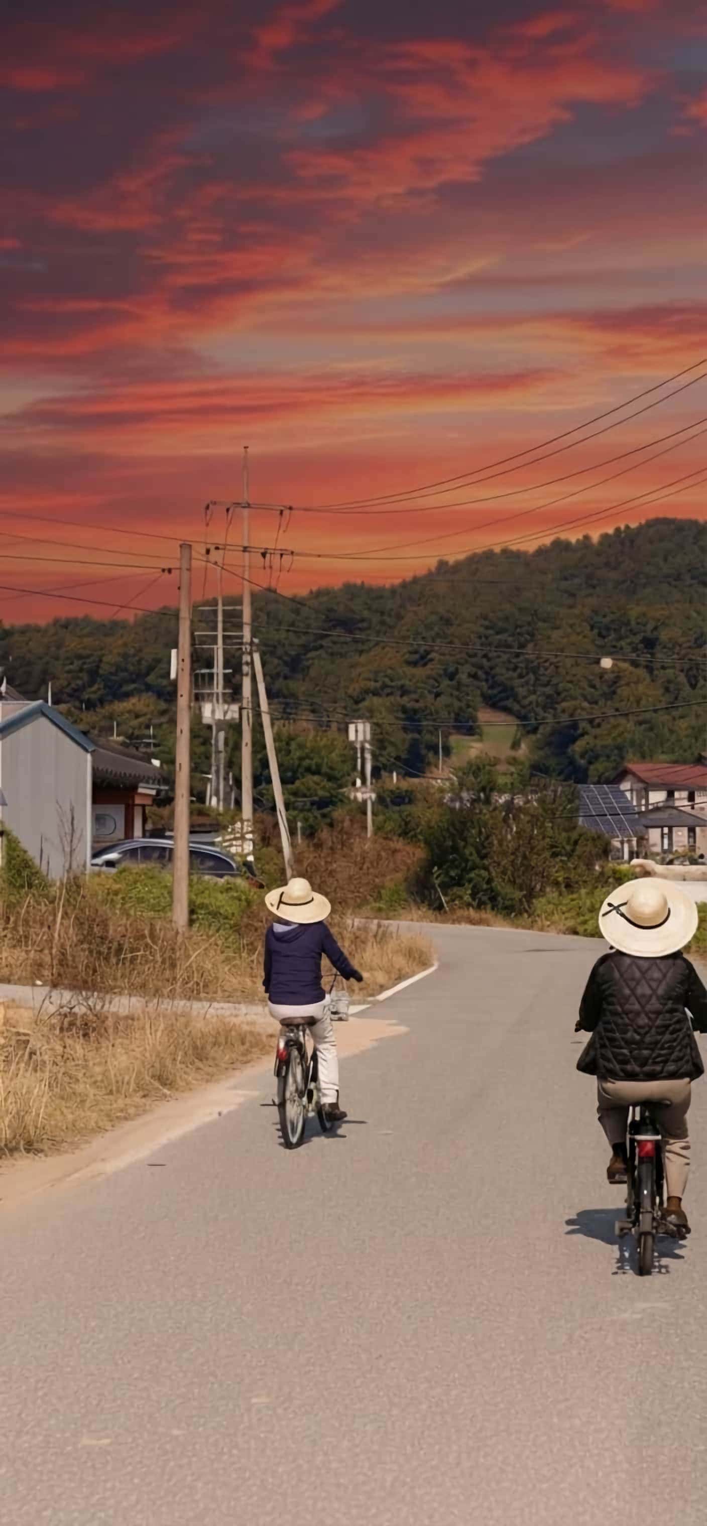 로그인 배경