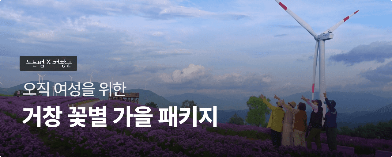 거창 가을 패키지