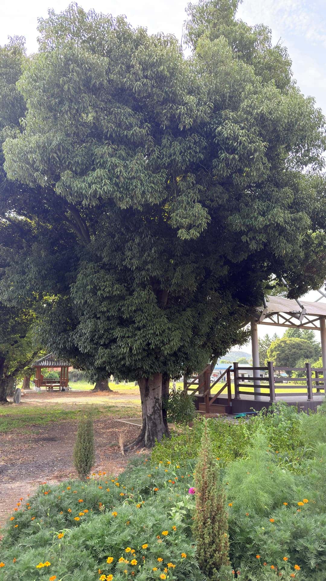 feed image 1