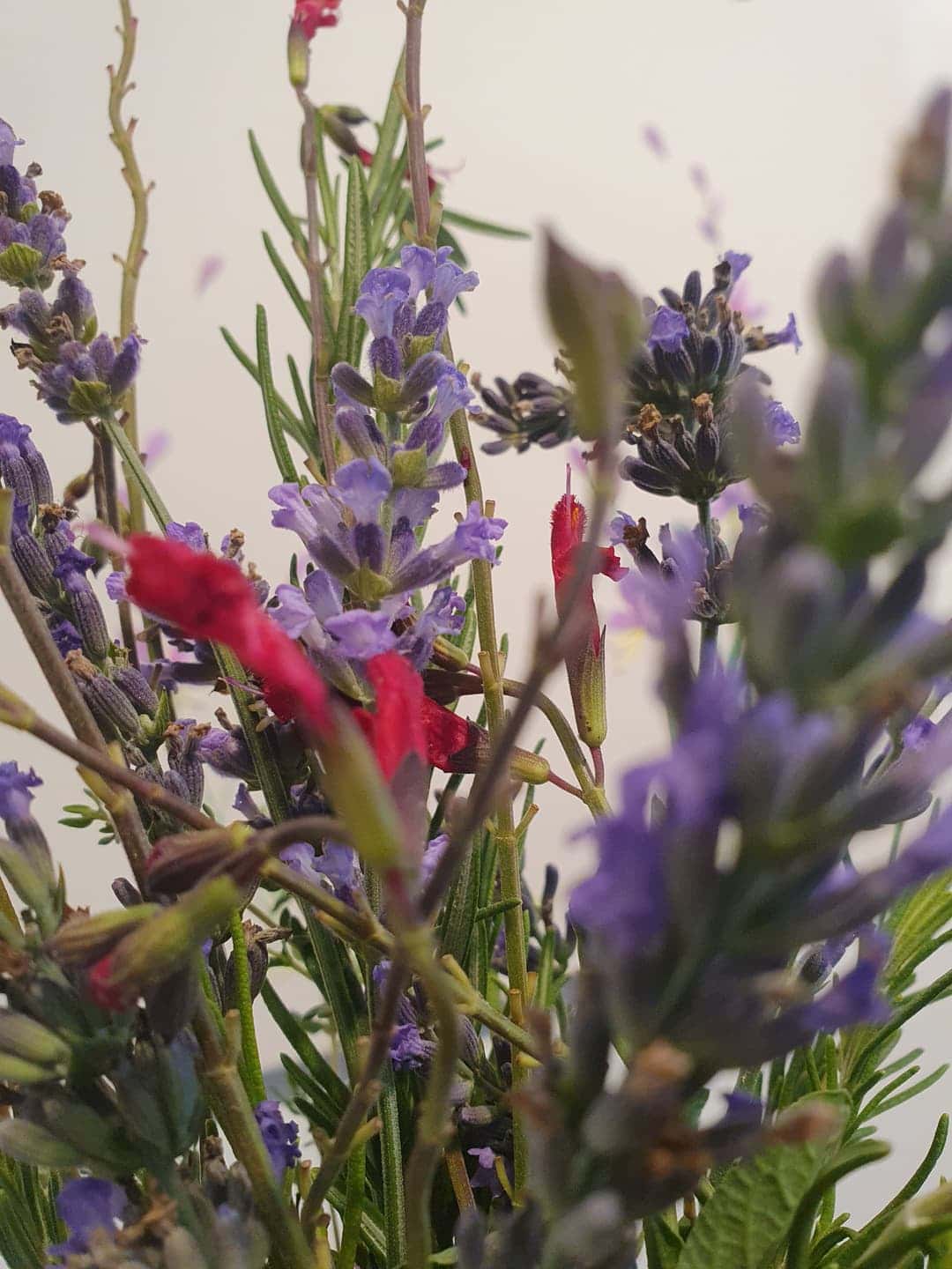 feed image 3