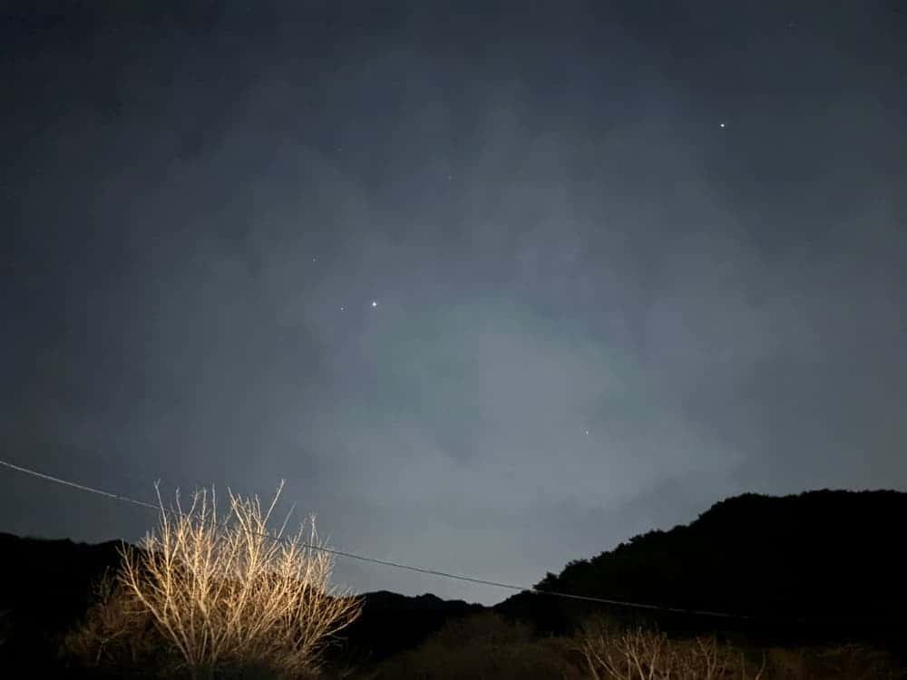 feed image 2
