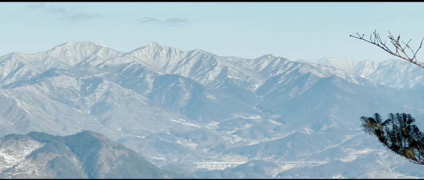 feed image 2