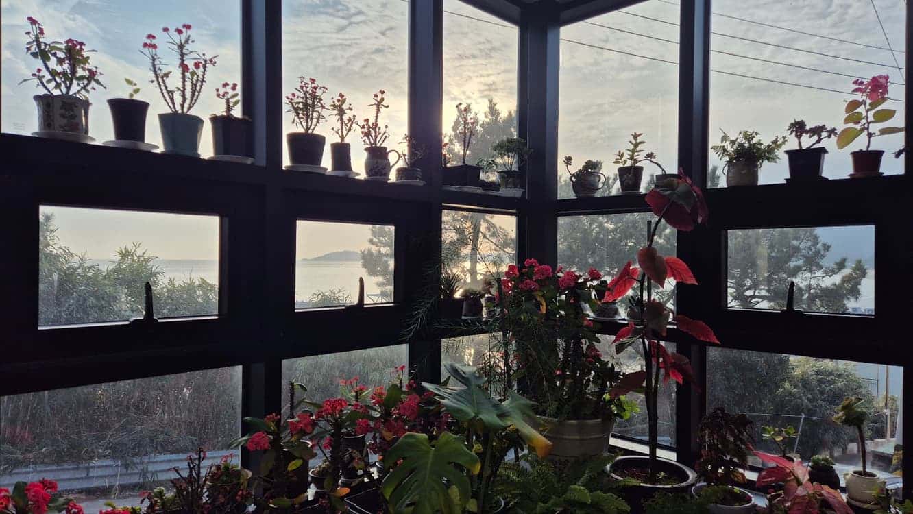 feed image 4