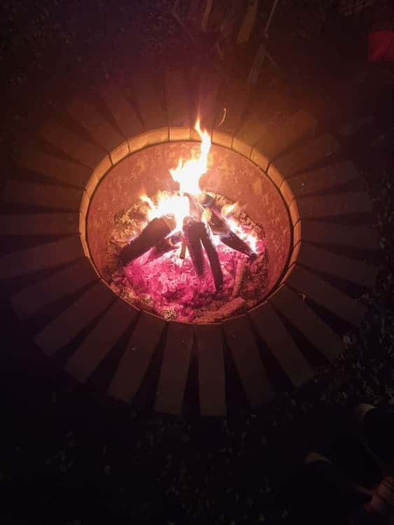 feed image 4