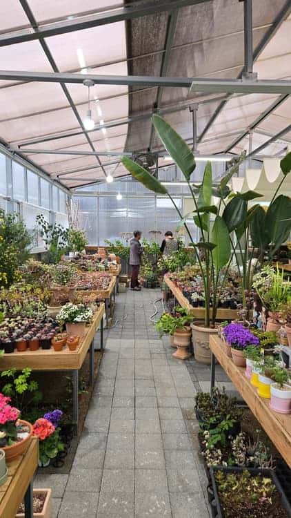 feed image 2