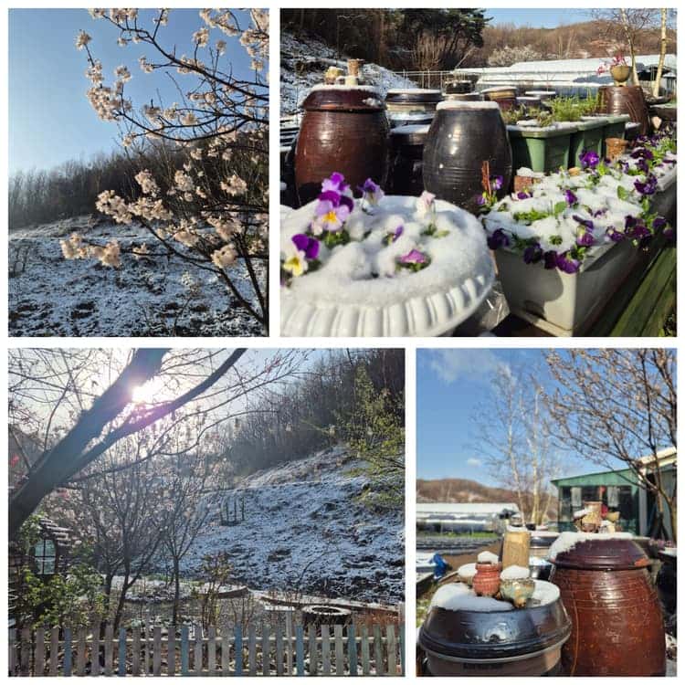 feed image 3