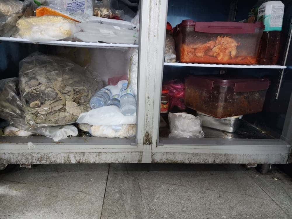 feed image 1