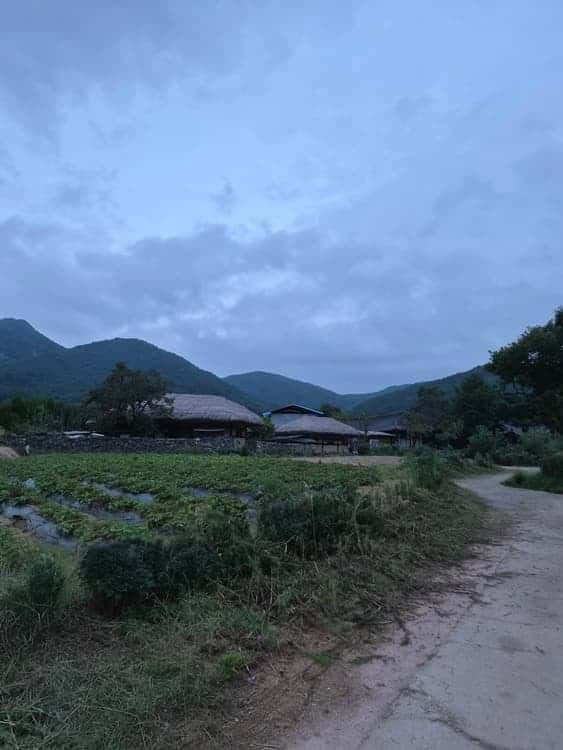 feed image 1