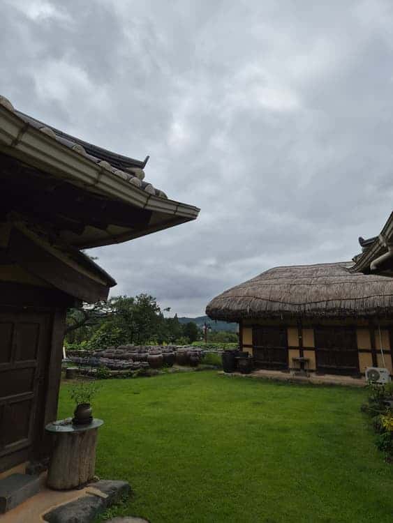 feed image 3