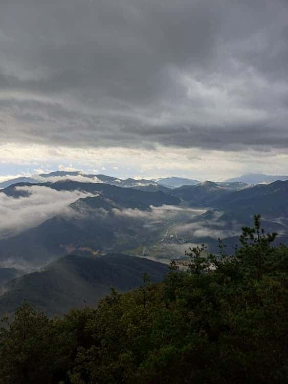 feed image 1