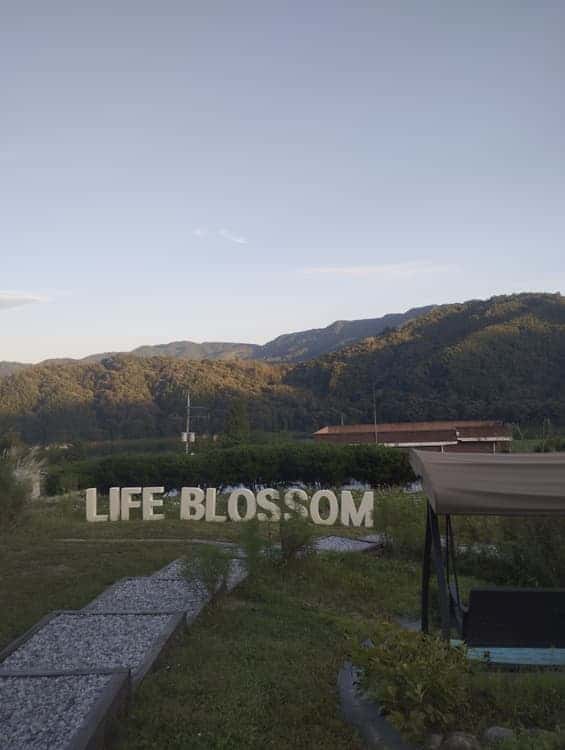 feed image 1
