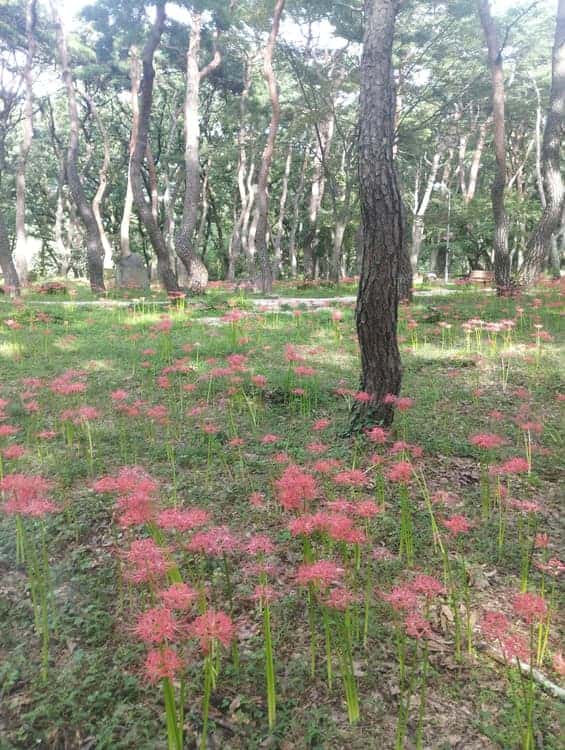 feed image 4