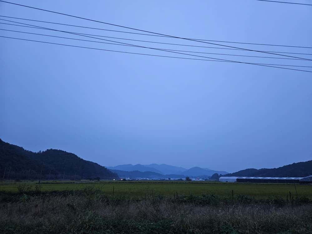 feed image 4