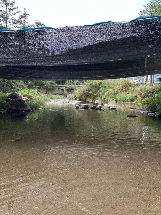 feed image 2