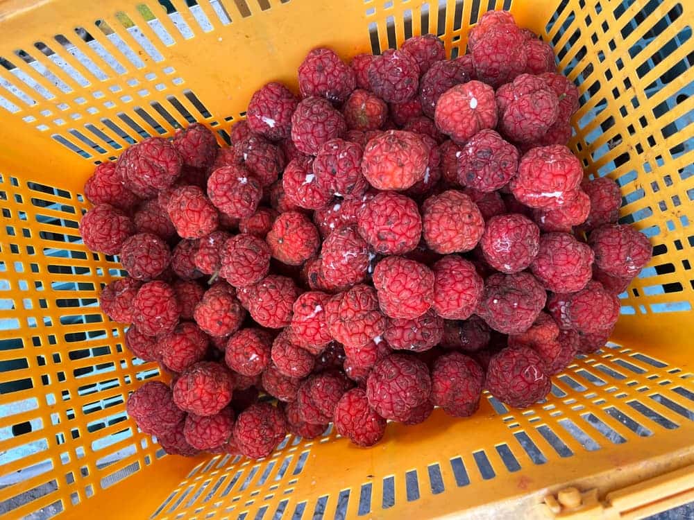 feed image 3
