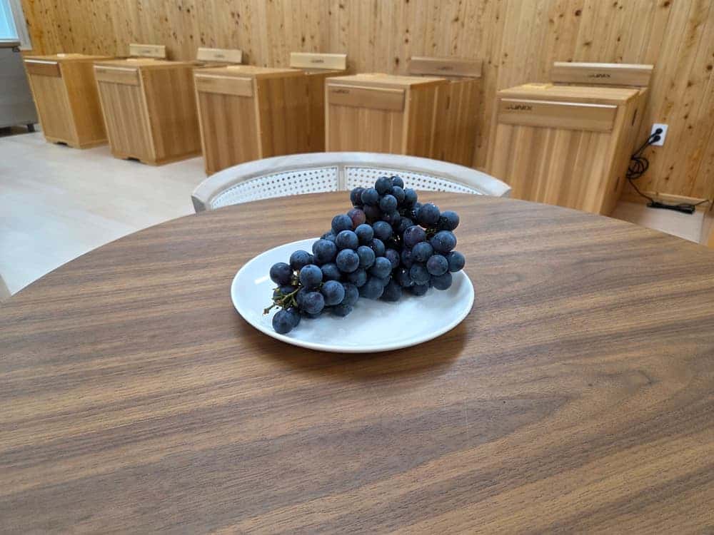 feed image 1
