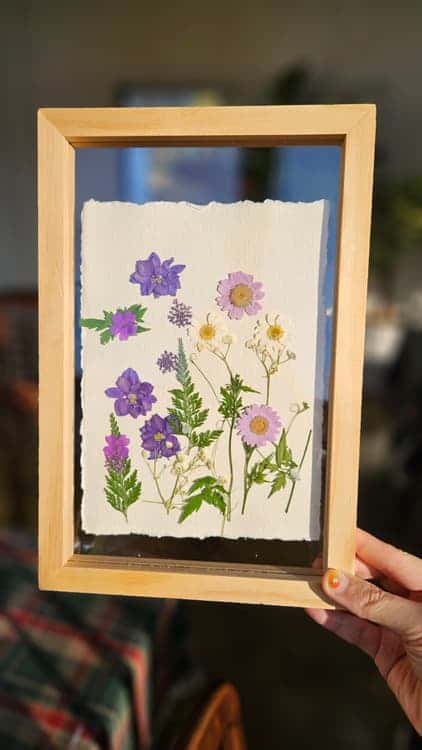 feed image 1