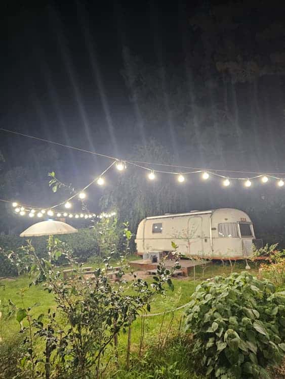 feed image 1