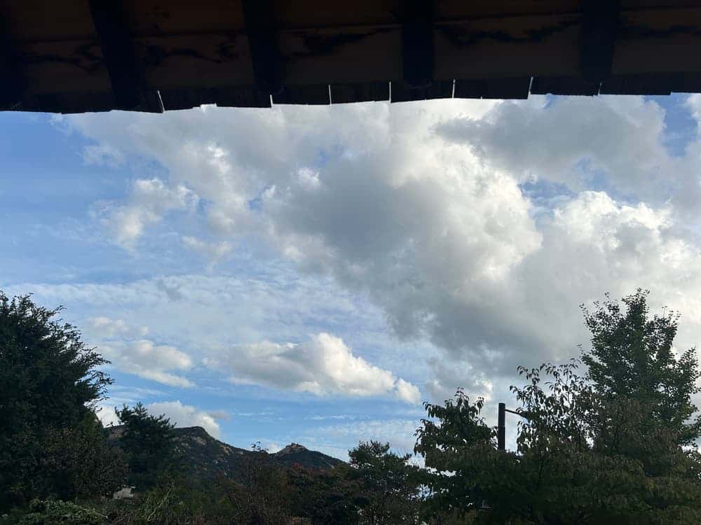 feed image 1