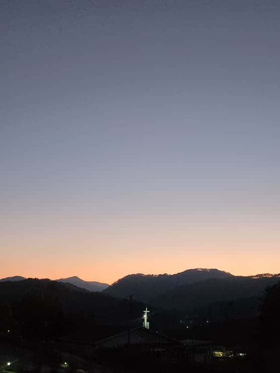feed image 4