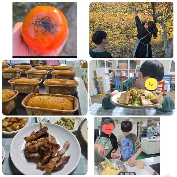 feed image 1