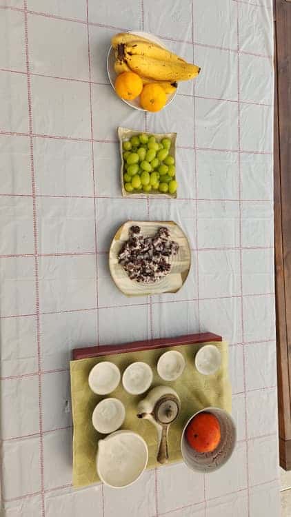 feed image 4