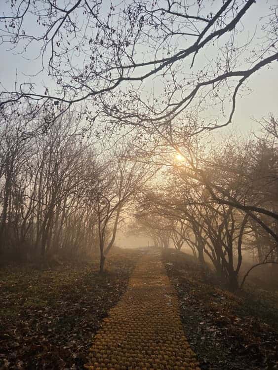 feed image