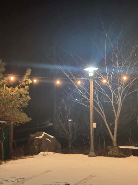 feed image 4
