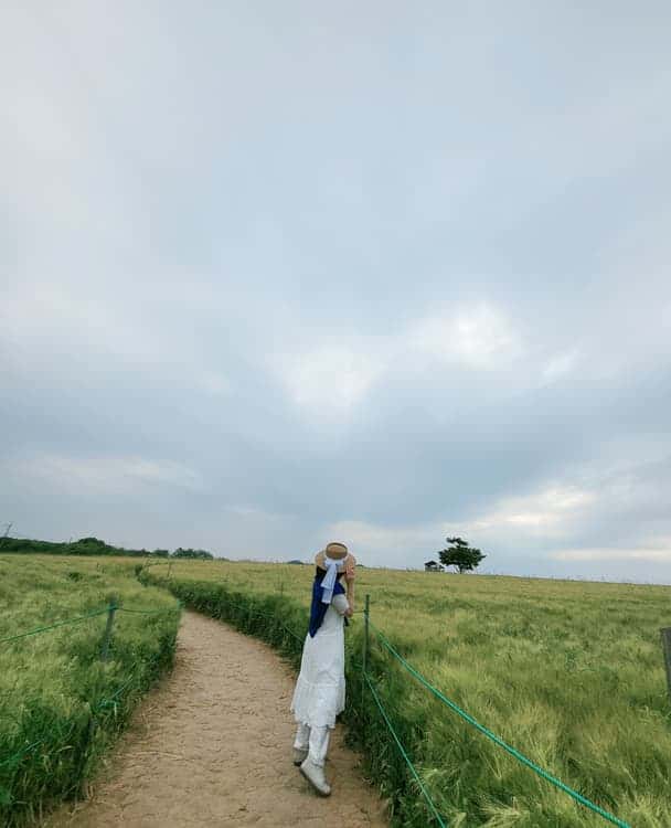 feed image 4
