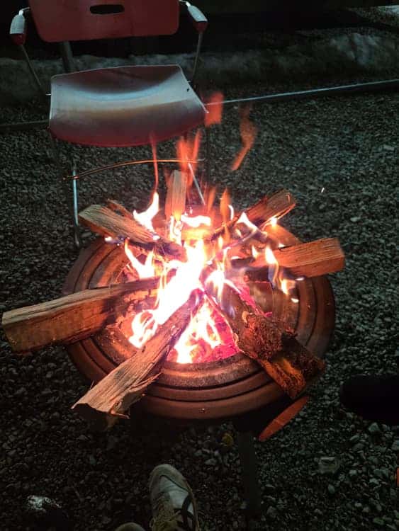 feed image 4