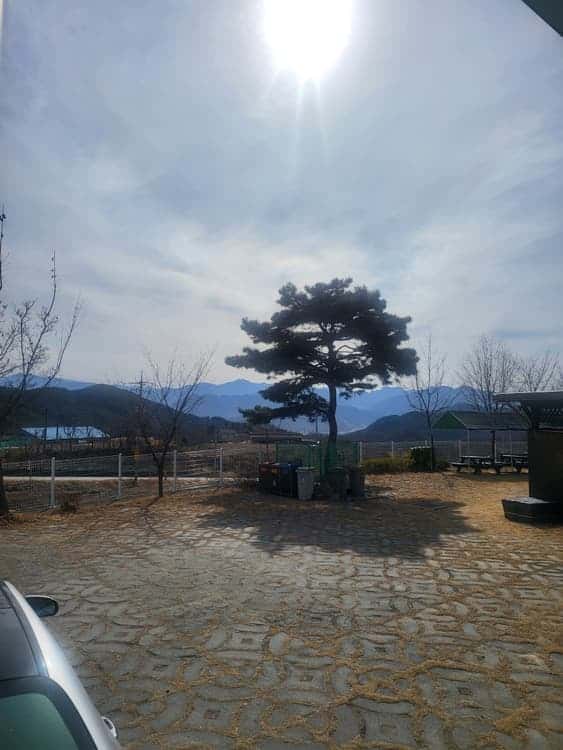 feed image 1