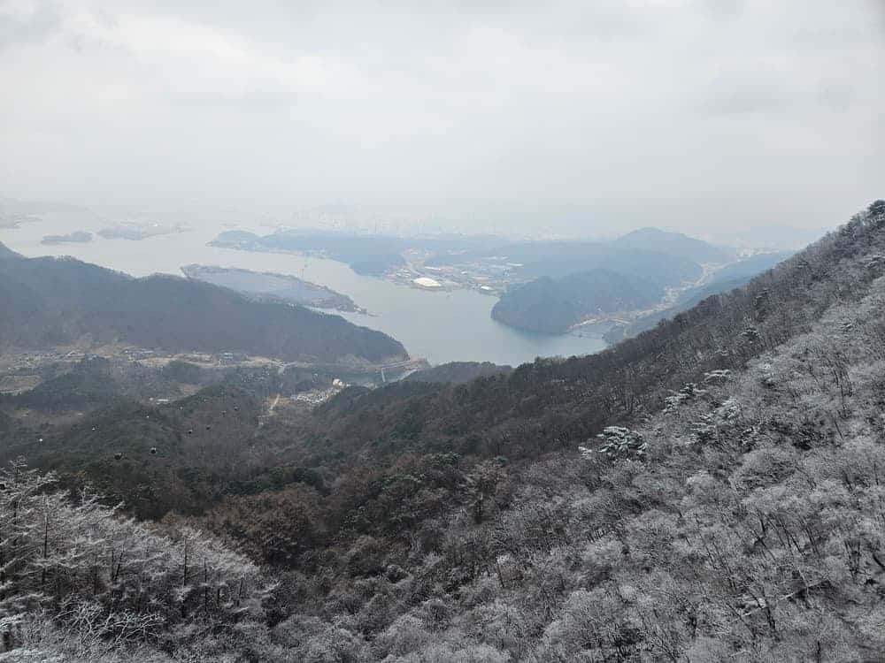 feed image 2