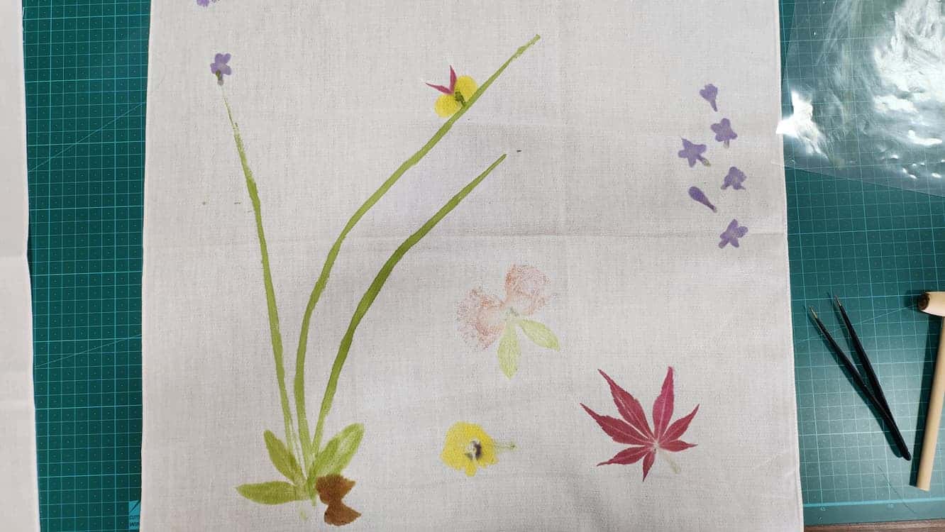 feed image 4