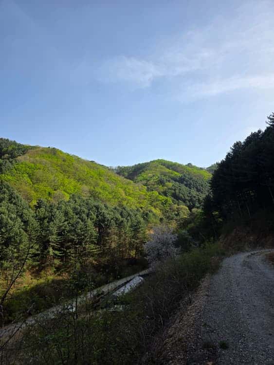 feed image 3