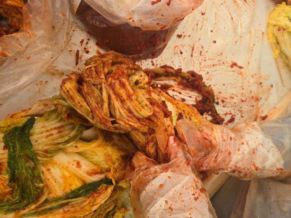 feed image 4