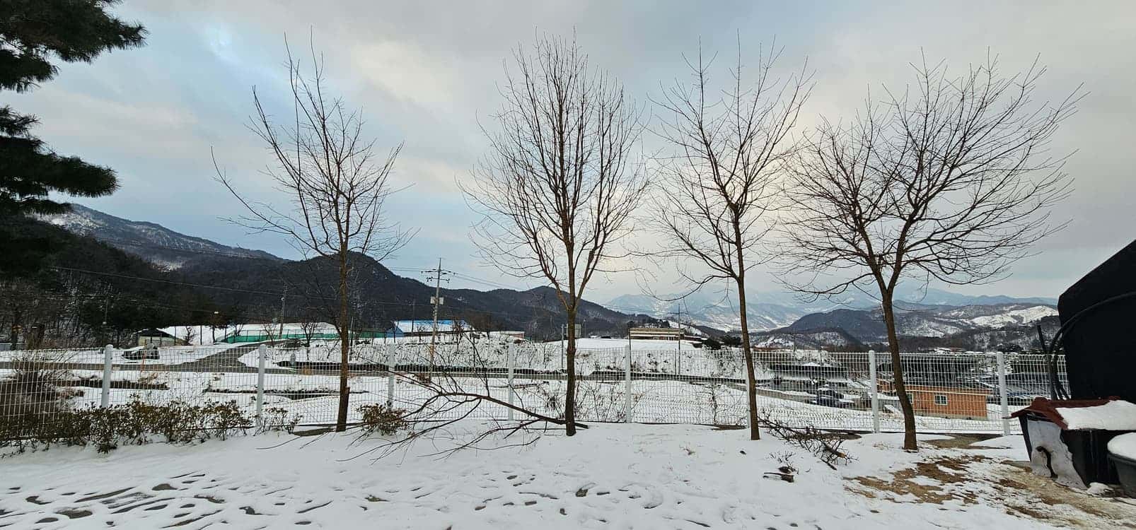 feed image 1