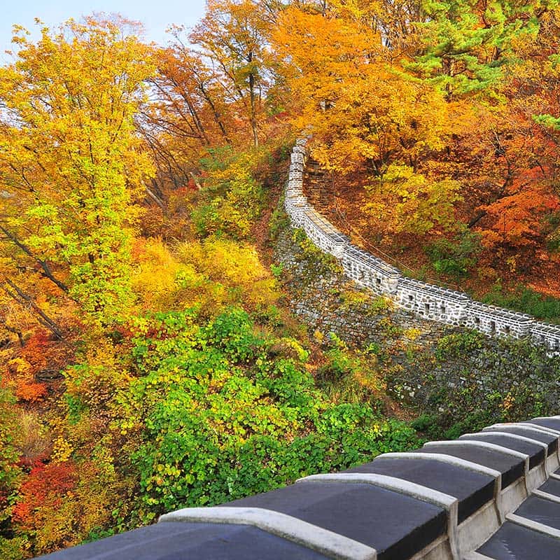 [당일/성남] 남한산성, 성남 전경 트레킹 / 3시간 사진 1