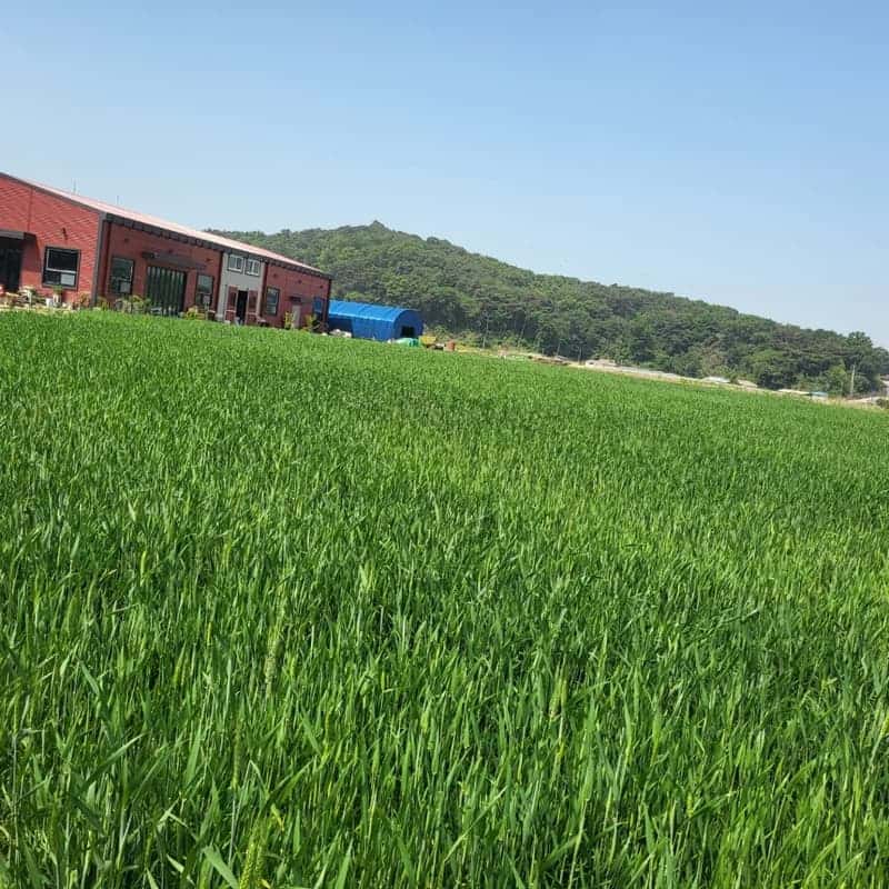 농원에서 맛나요~ 사진 2