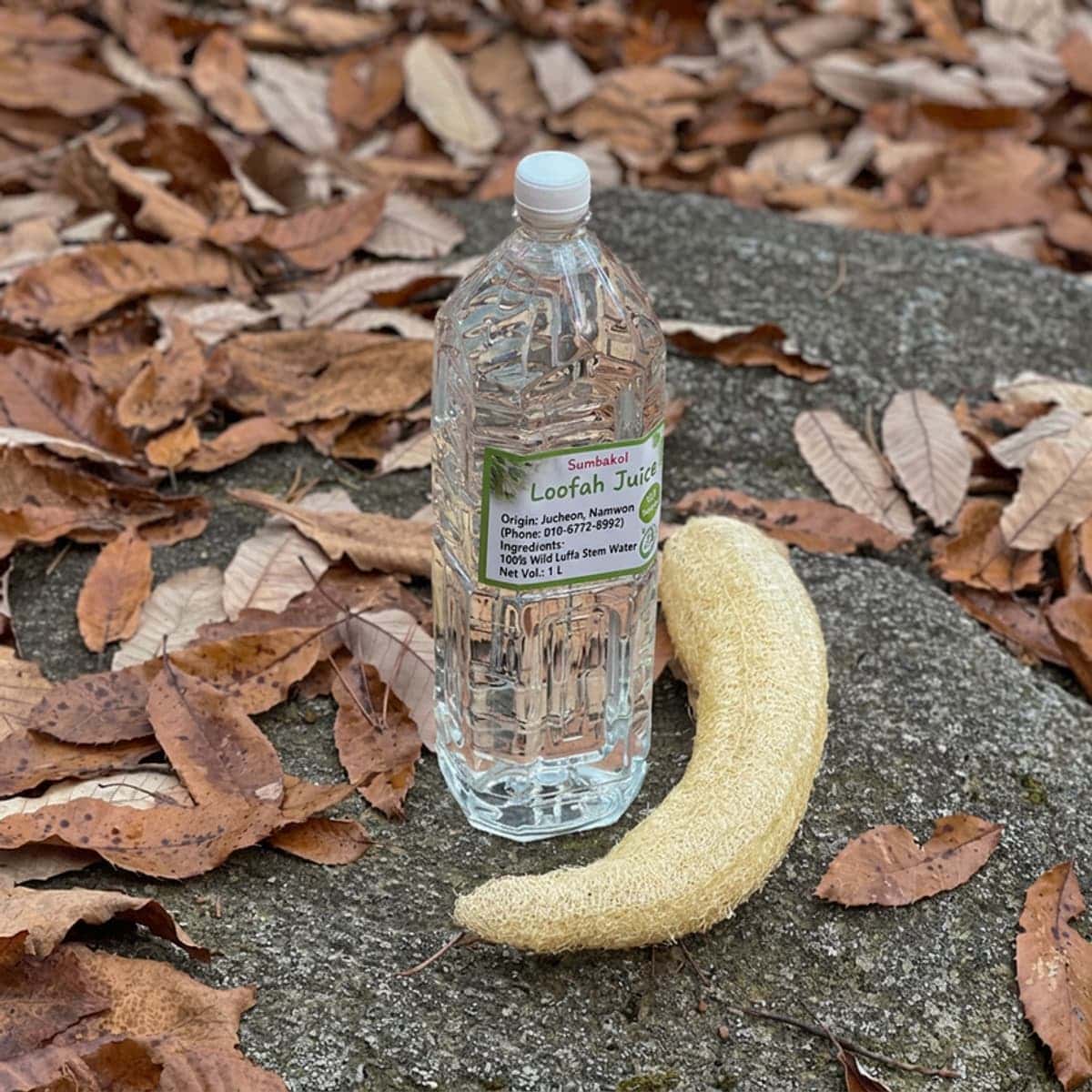 [Namwon/Day Trip] From Foot Bath to Sap, Jirisan Luffa Experience photo 2