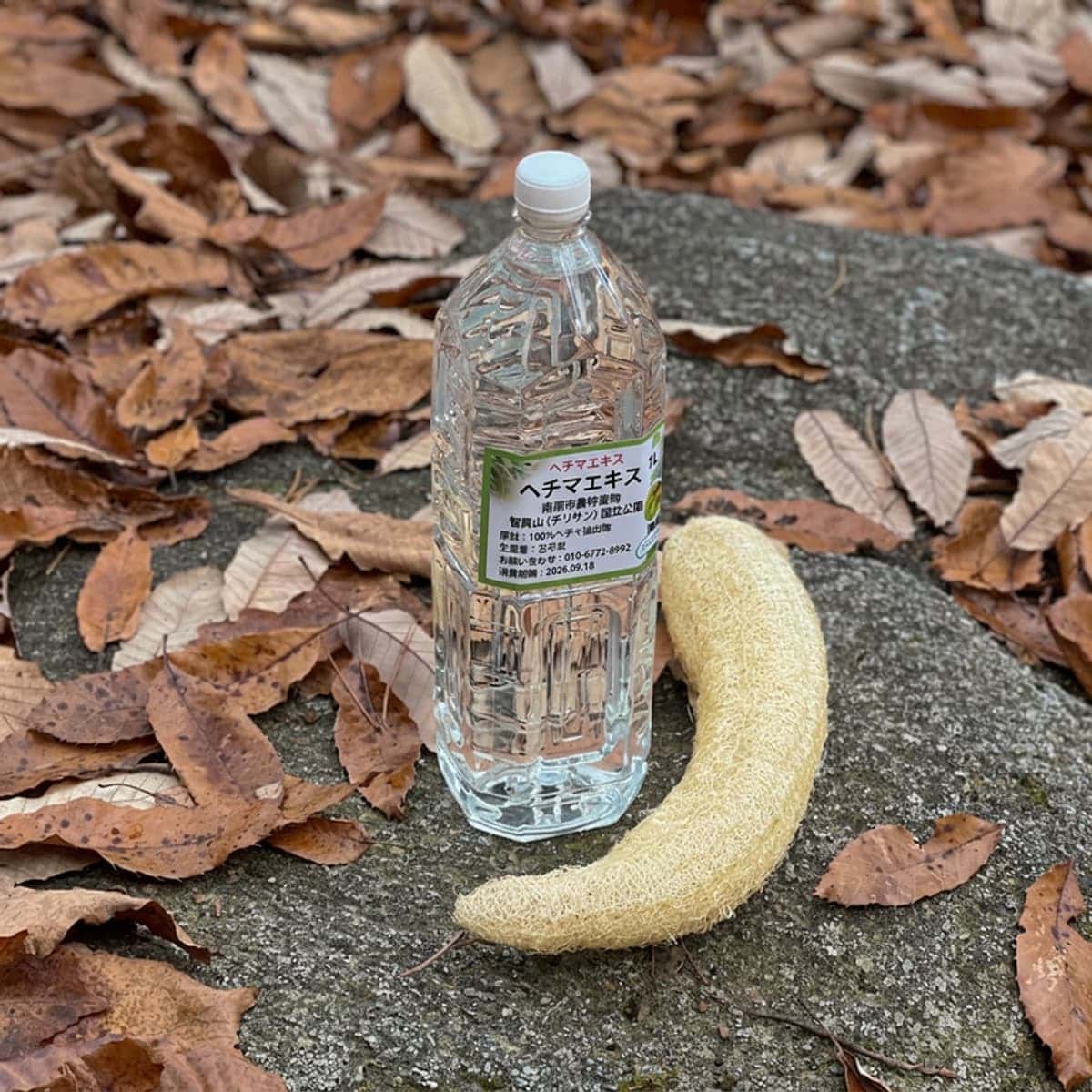[南原/当日] 足湯からヘチマ水まで、智異山ヘチマ体験の写真2