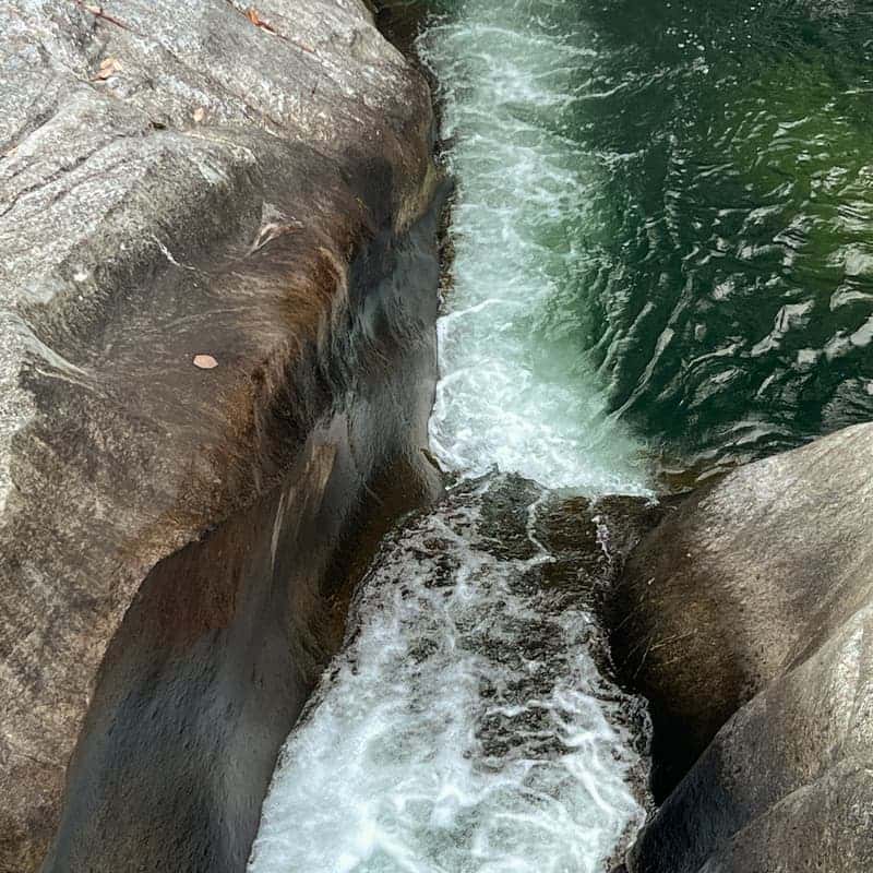 [남원/당일] 족욕부터 수액까지, 지리산 수세미 체험 사진 3