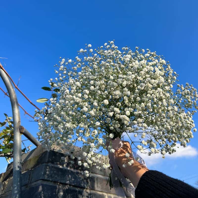 [남원/당일] 꽃다발과 꽃 만다라가 있는 힐링 여행 사진 1