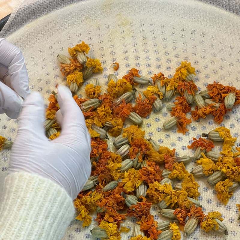 [남원/당일] 강정과 꽃차로 채우는 소박한 행복 사진 2