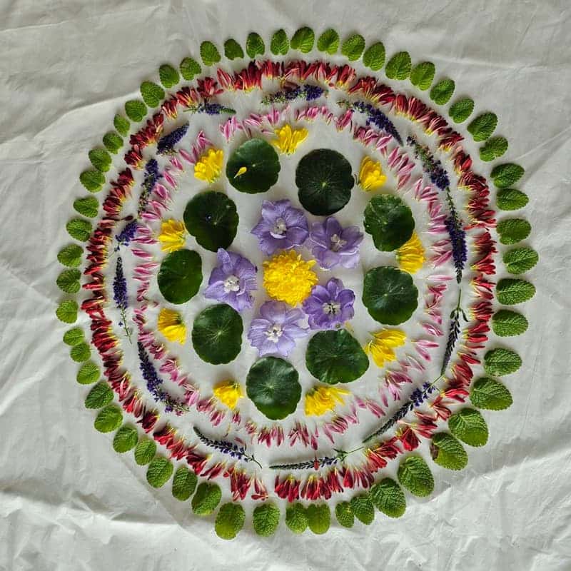 [남원/당일] 꽃다발과 꽃 만다라가 있는 힐링 여행 사진 5