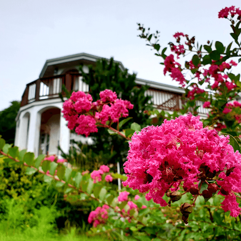 [홍천/당일] 설레는 봄, 꽃놀이 패키지여행 사진 2
