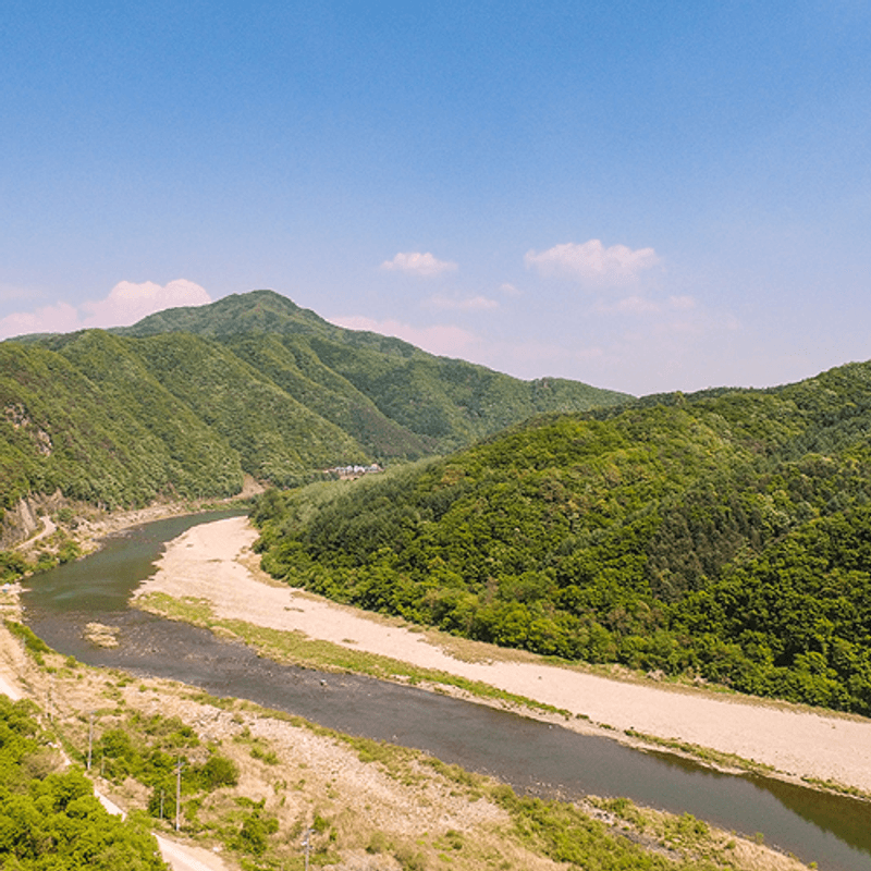 [홍천/당일] 설레는 봄, 꽃놀이 패키지여행 사진 5