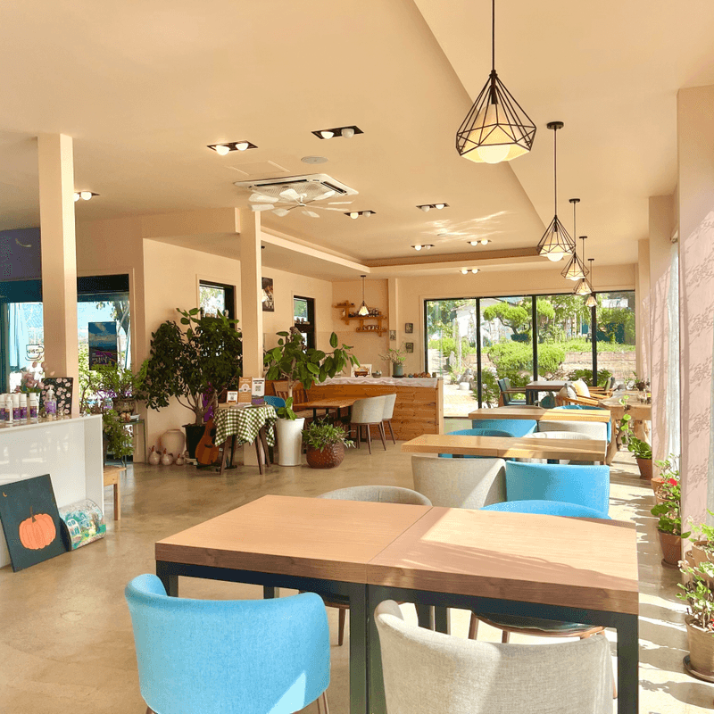 [거창 허브빌리지] 여성을 위한 웰니스 스테이 사진 3