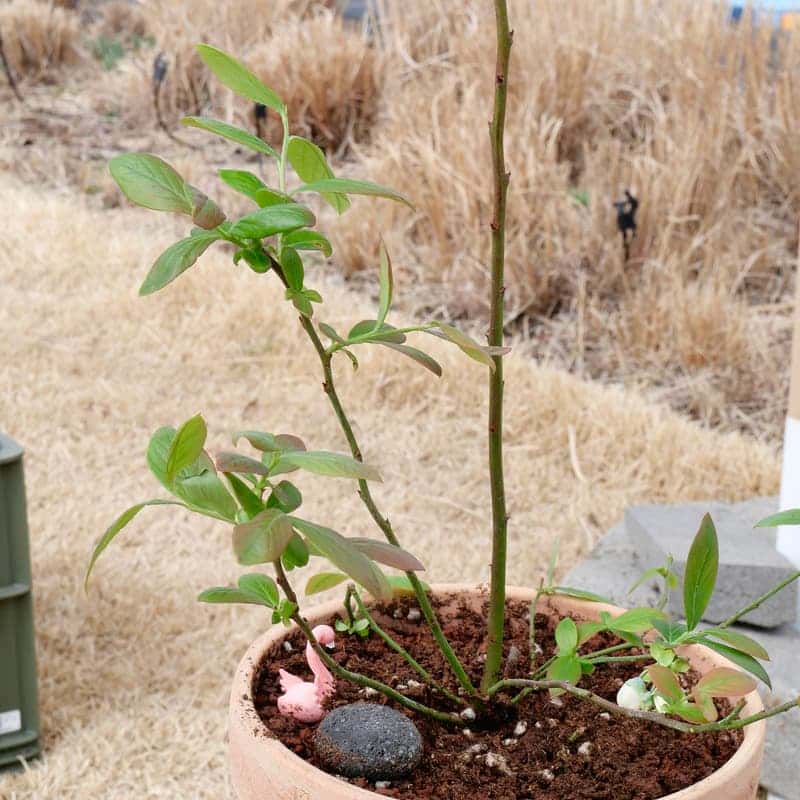 [밀양/당일]동화 같은 공간 딸기 케이크 만들기 사진 3
