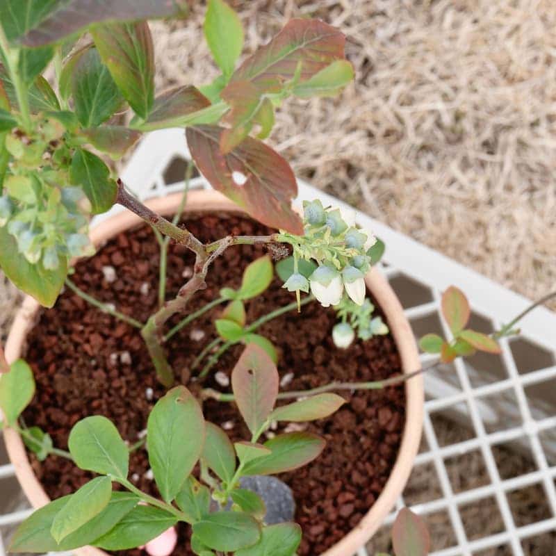 [밀양/당일]동화 같은 공간 딸기 케이크 만들기 사진 4