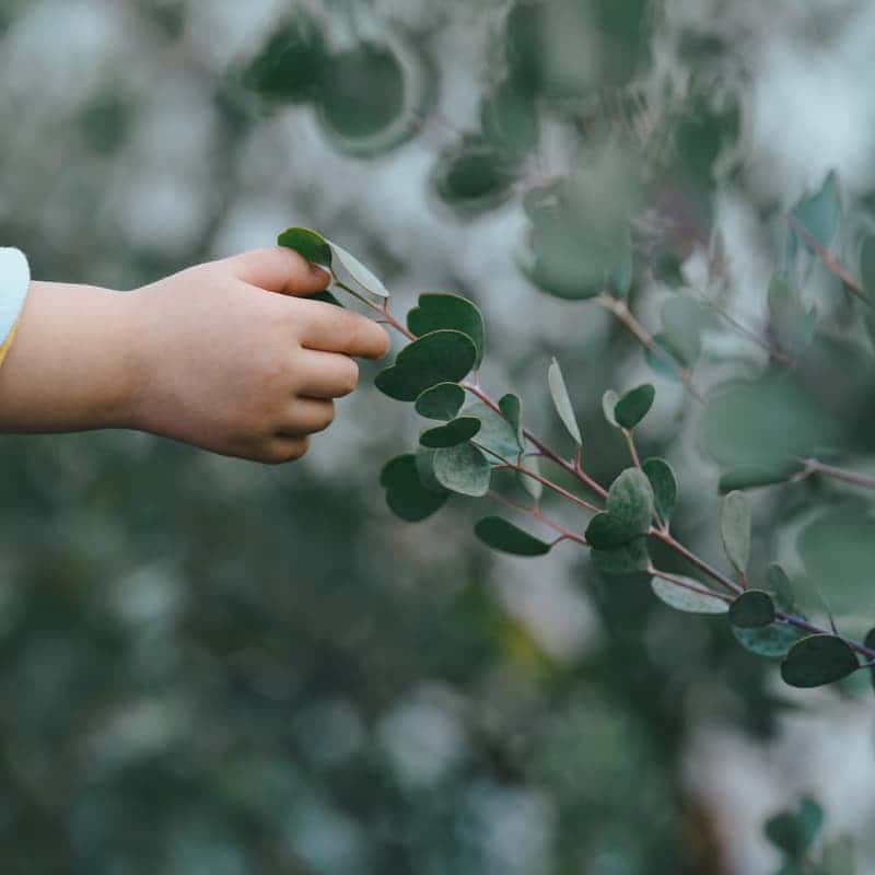 [김해/당일] 알로에 화장품 만들기 체험 사진 3